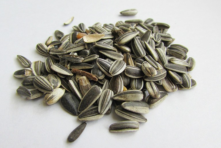 sunflower seeds for vitamin b12